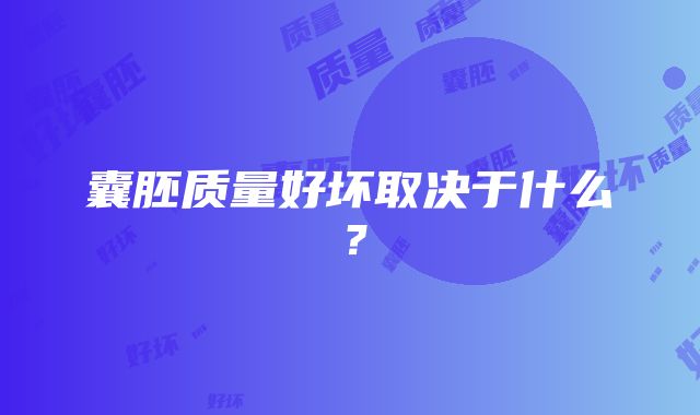 囊胚质量好坏取决于什么？