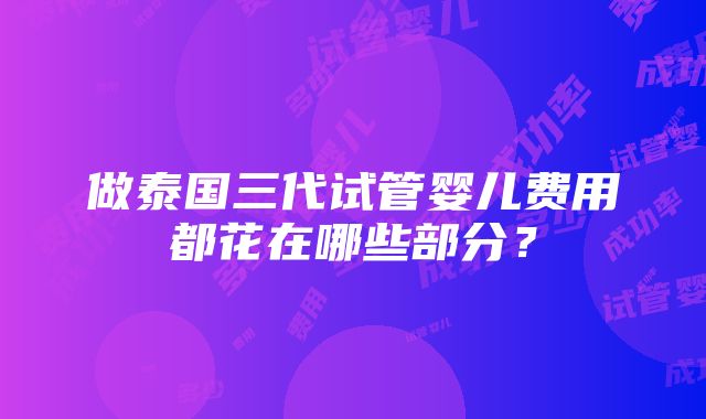 做泰国三代试管婴儿费用都花在哪些部分？