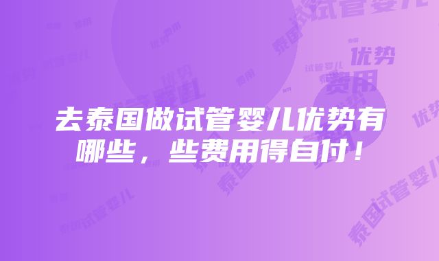 去泰国做试管婴儿优势有哪些，些费用得自付！