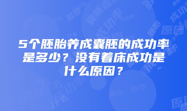 5个胚胎养成囊胚的成功率是多少？没有着床成功是什么原因？