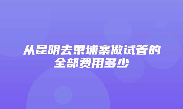 从昆明去柬埔寨做试管的全部费用多少