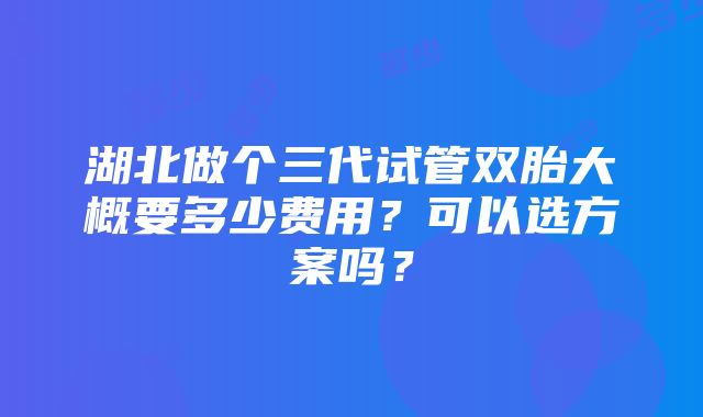 湖北做个三代试管双胎大概要多少费用？可以选方案吗？