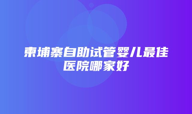 柬埔寨自助试管婴儿最佳医院哪家好