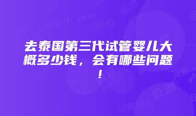 去泰国第三代试管婴儿大概多少钱，会有哪些问题！