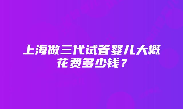 上海做三代试管婴儿大概花费多少钱？