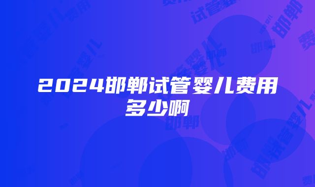 2024邯郸试管婴儿费用多少啊