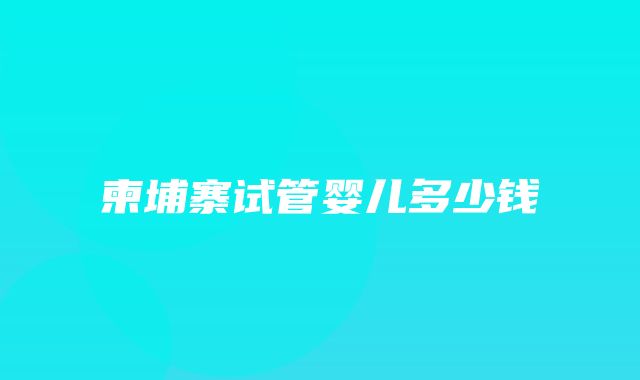 柬埔寨试管婴儿多少钱