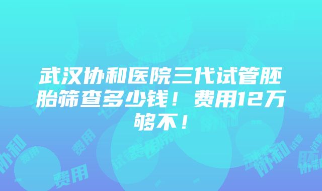 武汉协和医院三代试管胚胎筛查多少钱！费用12万够不！