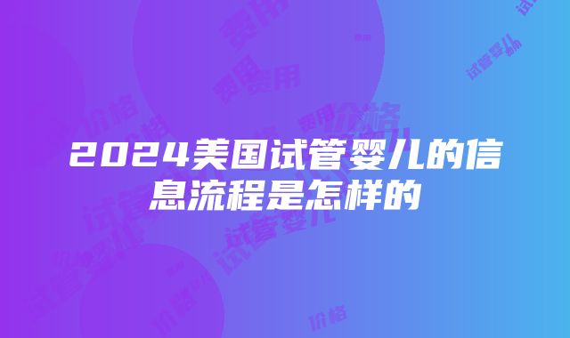 2024美国试管婴儿的信息流程是怎样的