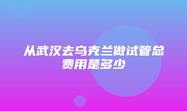 从武汉去乌克兰做试管总费用是多少