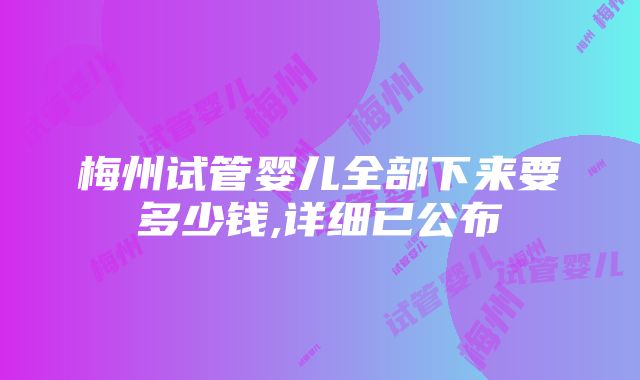 梅州试管婴儿全部下来要多少钱,详细已公布