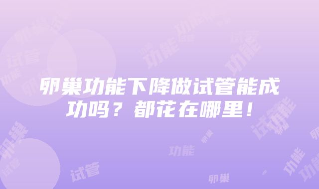 卵巢功能下降做试管能成功吗？都花在哪里！