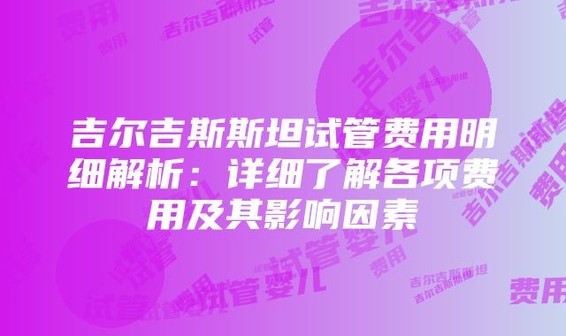 吉尔吉斯斯坦试管费用明细解析：详细了解各项费用及其影响因素