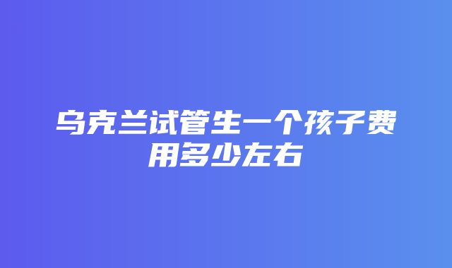 乌克兰试管生一个孩子费用多少左右