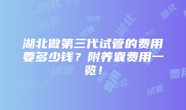 湖北做第三代试管的费用要多少钱？附养囊费用一览！