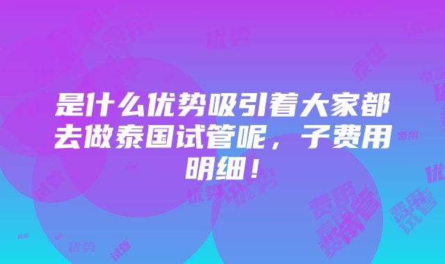 是什么优势吸引着大家都去做泰国试管呢，子费用明细！