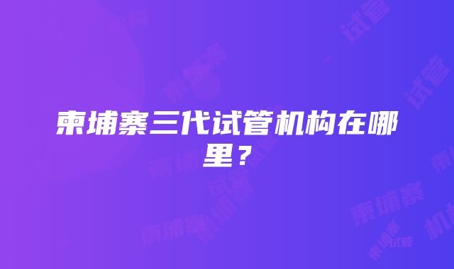 柬埔寨三代试管机构在哪里？