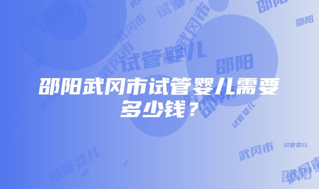 邵阳武冈市试管婴儿需要多少钱？