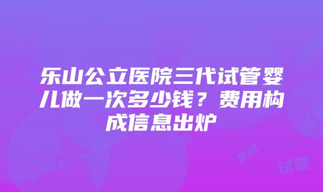 乐山公立医院三代试管婴儿做一次多少钱？费用构成信息出炉