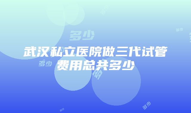 武汉私立医院做三代试管费用总共多少