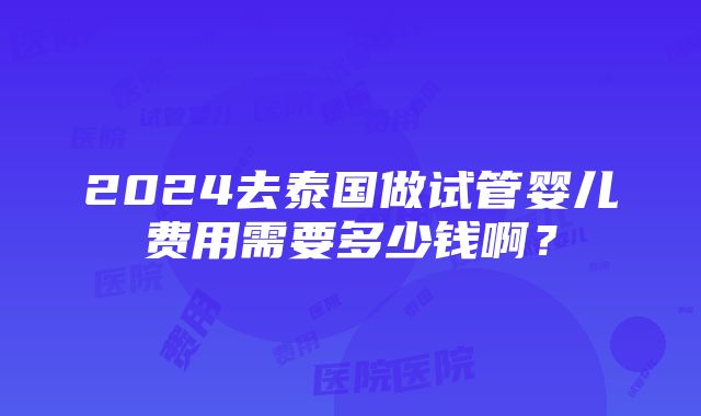 2024去泰国做试管婴儿费用需要多少钱啊？