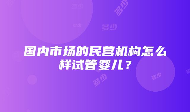 国内市场的民营机构怎么样试管婴儿？