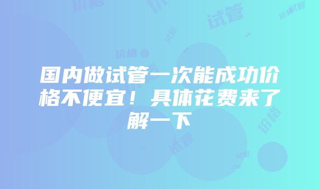 国内做试管一次能成功价格不便宜！具体花费来了解一下