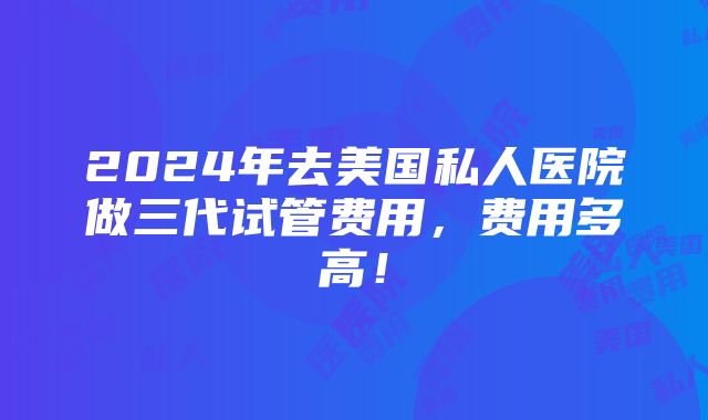 2024年去美国私人医院做三代试管费用，费用多高！