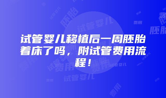 试管婴儿移植后一周胚胎着床了吗，附试管费用流程！