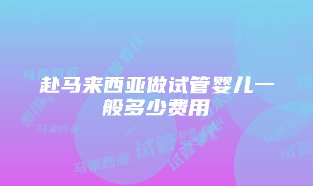 赴马来西亚做试管婴儿一般多少费用