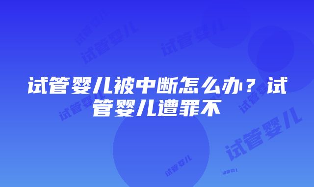 试管婴儿被中断怎么办？试管婴儿遭罪不