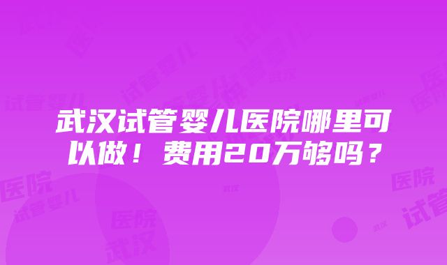 武汉试管婴儿医院哪里可以做！费用20万够吗？