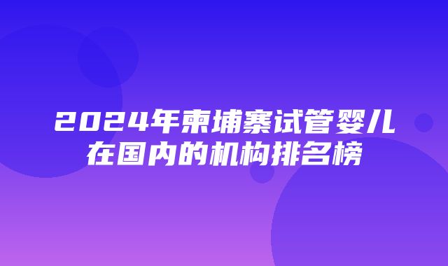 2024年柬埔寨试管婴儿在国内的机构排名榜