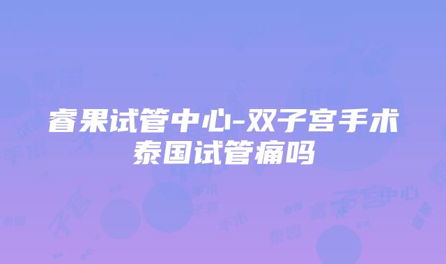 睿果试管中心-双子宫手术泰国试管痛吗