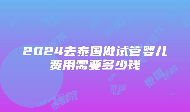 2024去泰国做试管婴儿费用需要多少钱