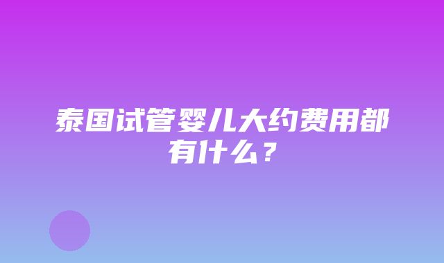 泰国试管婴儿大约费用都有什么？