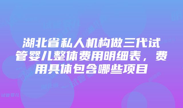 湖北省私人机构做三代试管婴儿整体费用明细表，费用具体包含哪些项目