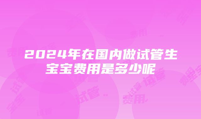 2024年在国内做试管生宝宝费用是多少呢