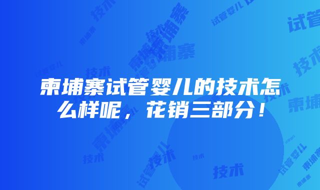 柬埔寨试管婴儿的技术怎么样呢，花销三部分！