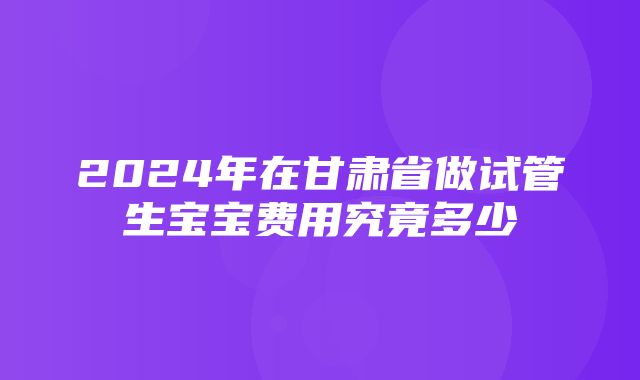 2024年在甘肃省做试管生宝宝费用究竟多少