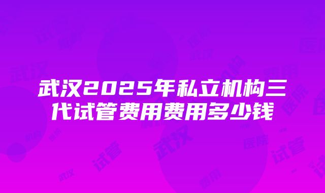 武汉2025年私立机构三代试管费用费用多少钱