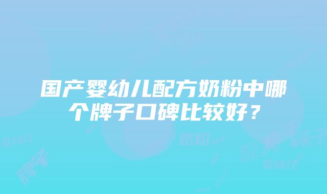 国产婴幼儿配方奶粉中哪个牌子口碑比较好？