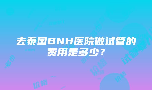 去泰国BNH医院做试管的费用是多少？