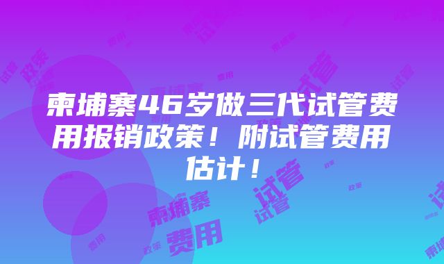 柬埔寨46岁做三代试管费用报销政策！附试管费用估计！