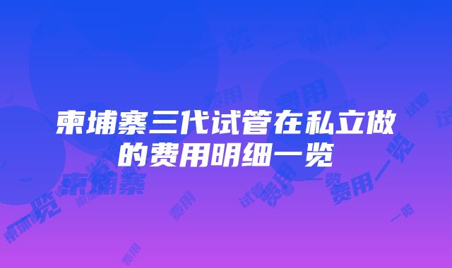 柬埔寨三代试管在私立做的费用明细一览