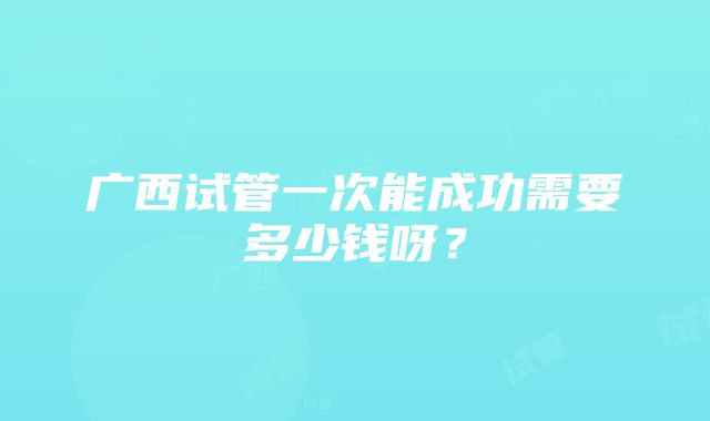 广西试管一次能成功需要多少钱呀？