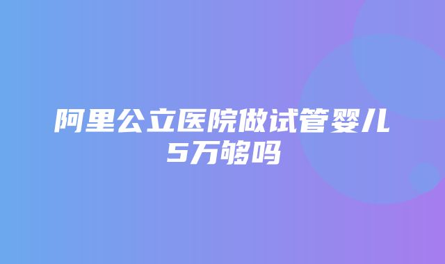 阿里公立医院做试管婴儿5万够吗