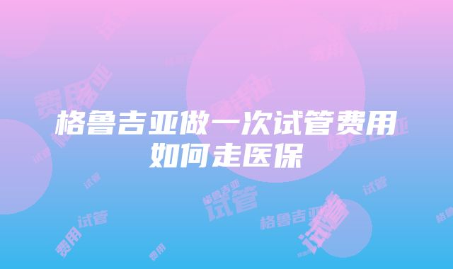 格鲁吉亚做一次试管费用如何走医保