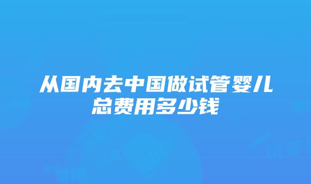 从国内去中国做试管婴儿总费用多少钱