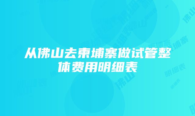 从佛山去柬埔寨做试管整体费用明细表